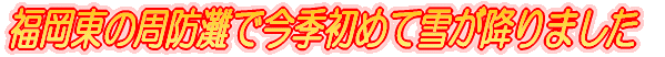 あけまして おめでとう ございます。